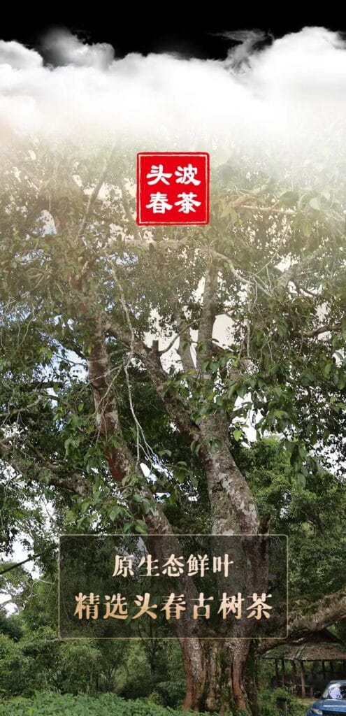 微信图片 20240429095858 YM&T