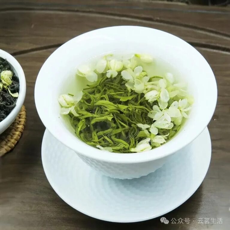 Yunming Talks － New Tea “Sichuan Tea Floating Snow”