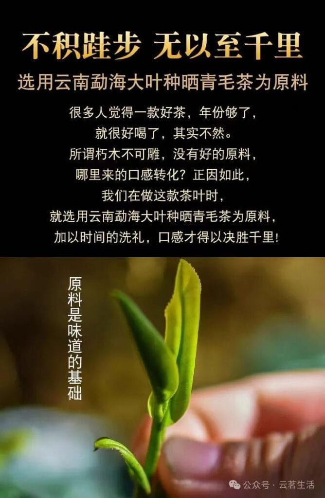 This is the only thing missing from drinking good tea - Palace Pu'er in 2006 5 1000058587 YM&T