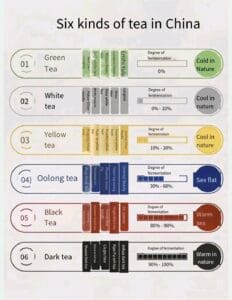 Ym Tea Knowledge 15 IMG 20240529 204444 YM&T