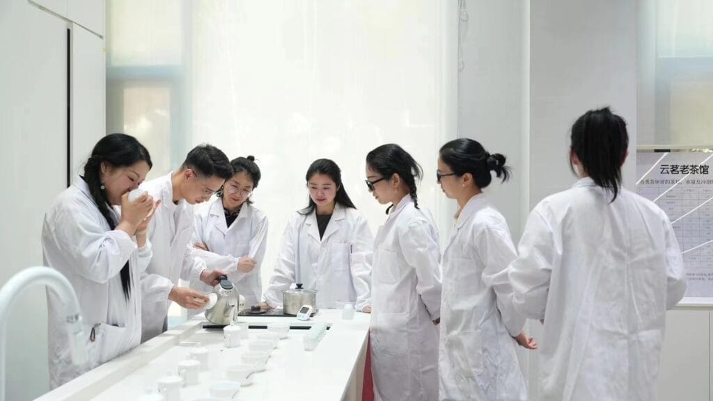 About YMTEA | Direct-Origin Chinese Tea Supplier 15 make tea