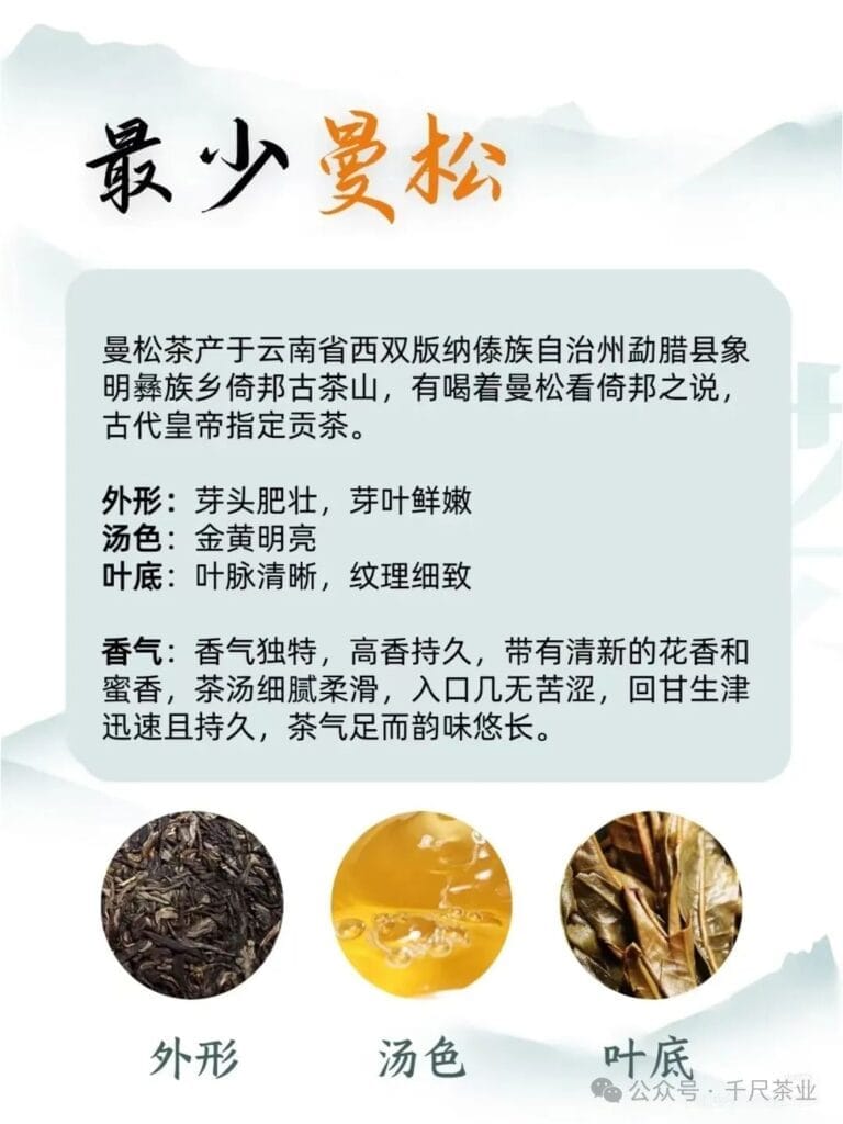 Pu'er Tea Seven Most-I can drink tea if I collect it well 7 1000070820 YM&T