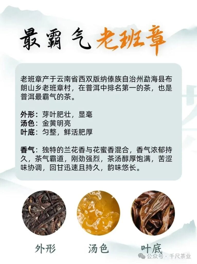 Pu'er Tea Seven Most-I can drink tea if I collect it well 3 1000070823 YM&T