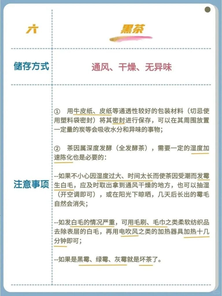 All tea storage 5 1000070917 YM&T