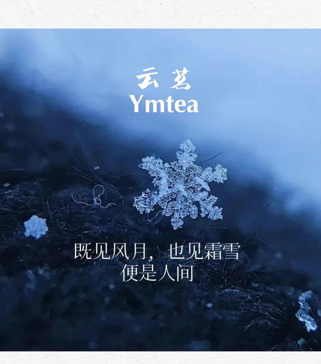 Black tea, Dark tea, Pu'er tea, Chinese tea, milk tea, how to choose good tea, how to brew good and fragrant.