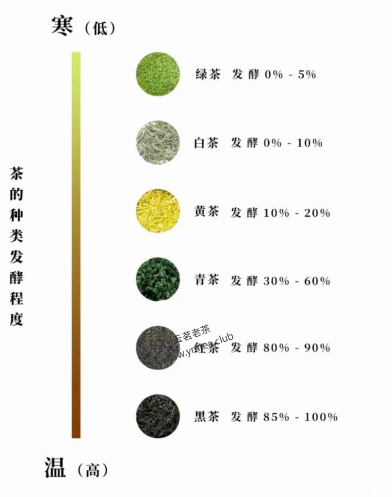 The ancients were very particular about Chinese tea 2 1000072177 YM&T