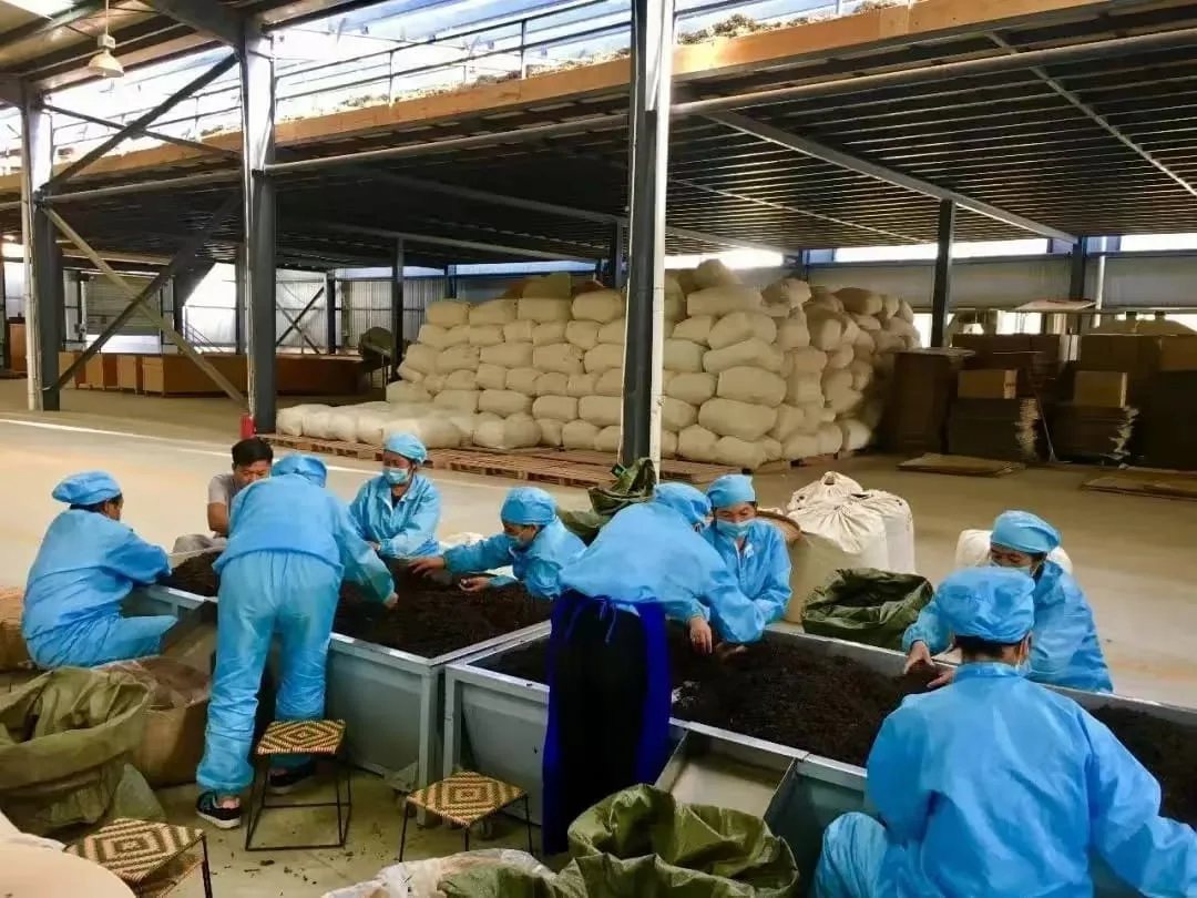 About Us:Buy Tea with Confidence, Make Tea Easier | Premium Puerh Tea and Black Tea Wholesaler 9 Suppliers of Puerh Tea, Black Tea
