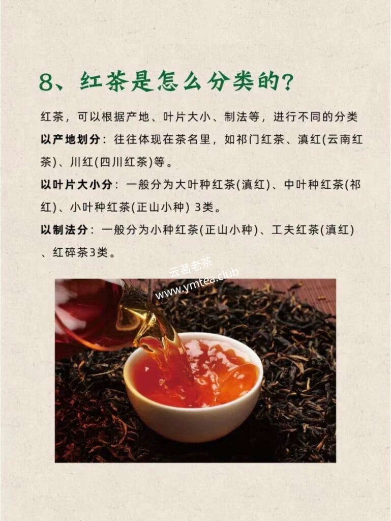 Black tea originated in England? India? 7 1000072575 YM&T