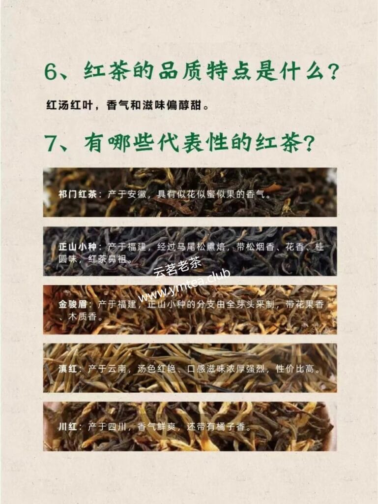 Black tea originated in England? India? 6 1000072576 YM&T