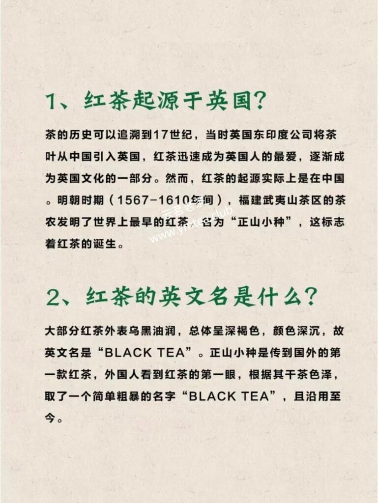 Black tea originated in England? India? 2 1000072580 YM&T