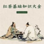 Black tea originated in England? India?