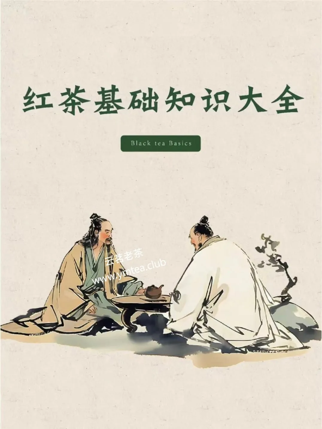 IMG 20241202 232859 YM&T