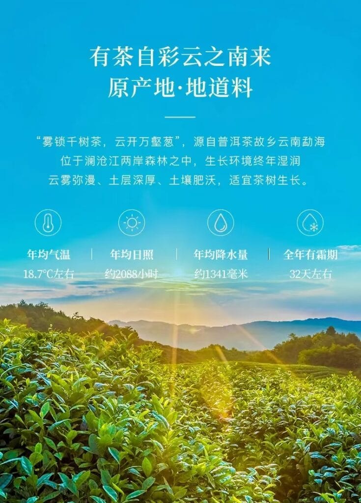 About Us:Buy Tea with Confidence, Make Tea Easier | Premium Puerh Tea and Black Tea Wholesaler 3 black tea pu er tea