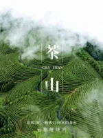 A good mountain produces good tea