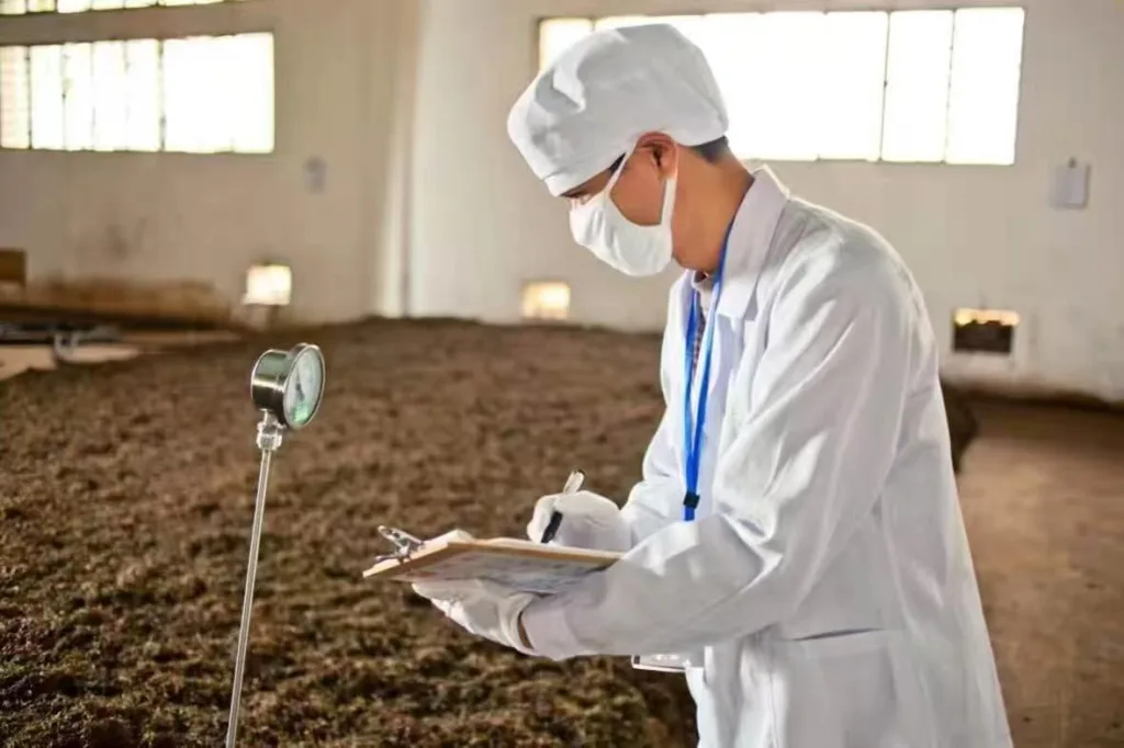 Does Pu'er tea have medicinal value? 6 1000000908 YM&T