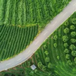A small teahouse in the city