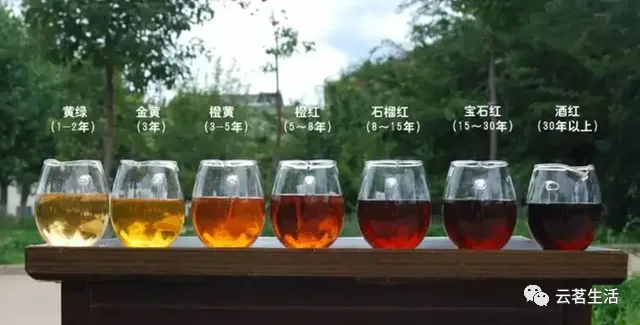 How to distinguish the quality of Pu'er tea 3 微信图片 2025 09 29 125021 524 YM&T