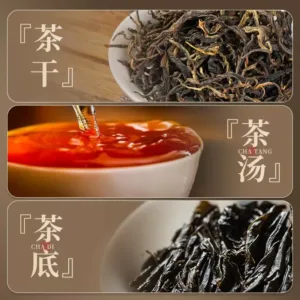 Why Loose Leaf Tea is the Future of the European Tea Market?