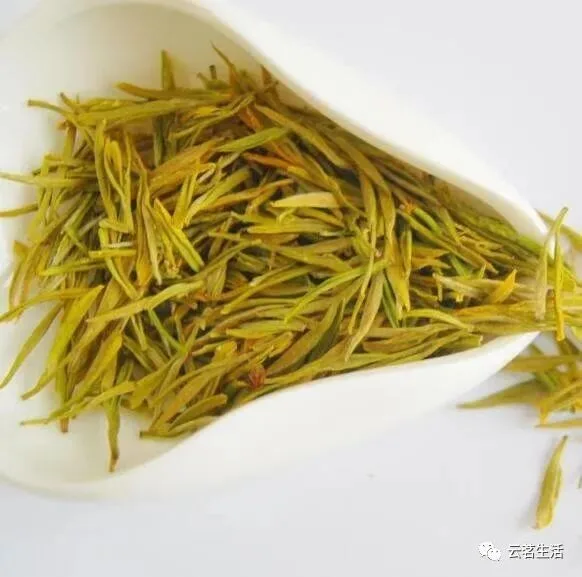 微信图片 2025 10 15 095441 121 YM&T