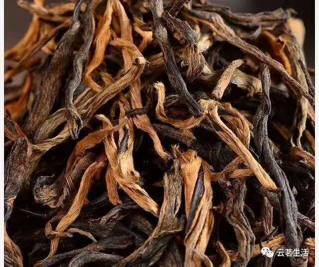 微信图片 2025 10 15 101359 487 YM&T