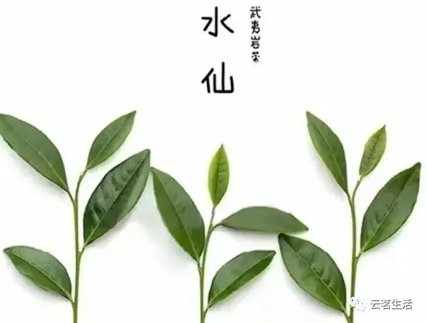 微信图片 2025 10 15 102206 246 YM&T