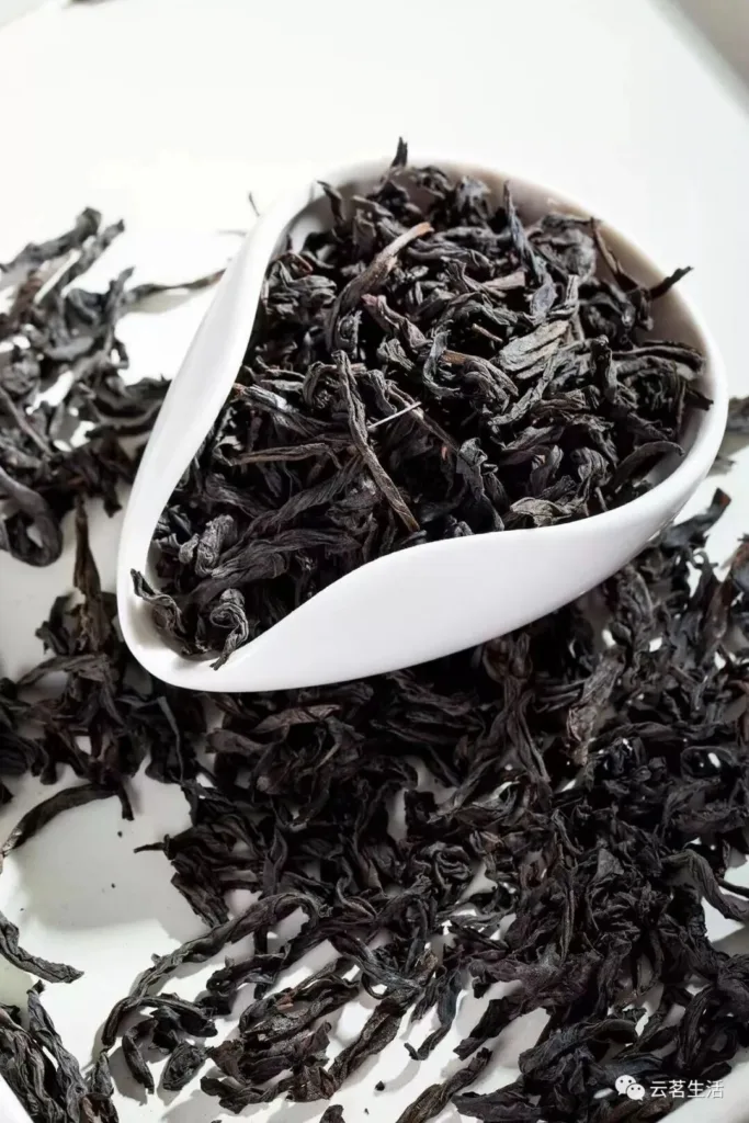 微信图片 2025 10 15 102217 551 YM&TEA