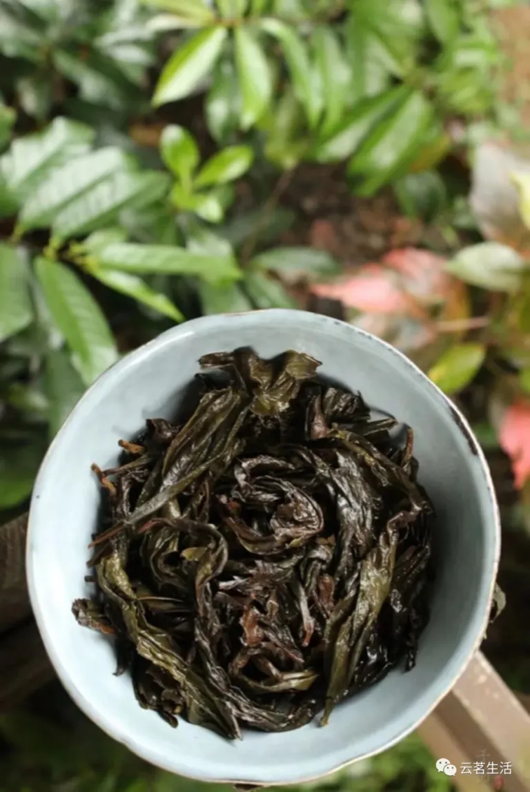 Tea bag wholesale manufacturer