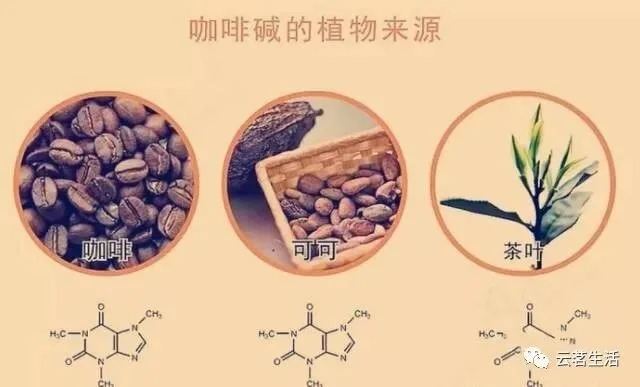 微信图片 2025 10 21 100826 971 YM&T