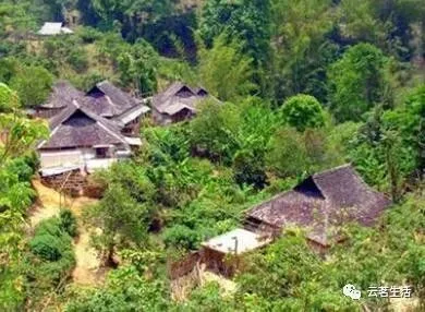 Mountain after mountain! Bulang Tea Mountain! 3 微信图片 2025 11 03 094912 265 YM&T