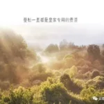 Good tea is a limited edition every day.