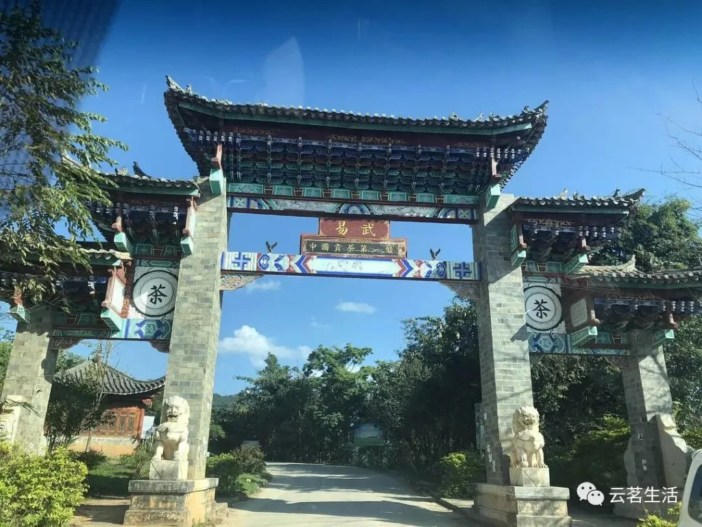 Ymtea Recommended Good Tea — Yiwu