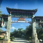 Ymtea Recommended Good Tea — Yiwu