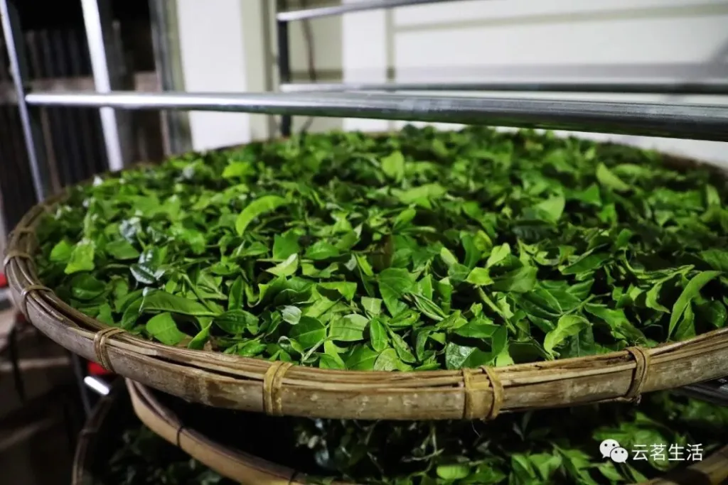 微信图片 2025 11 03 102456 176 YM&T