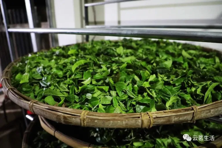 Loose leaf tea wholesale China