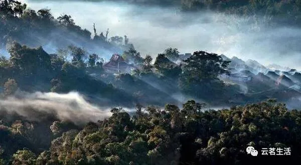 Tea needs to be savored this way to truly enjoy its flavor... 5 European Wholesaler of Premium Pu'er Tea and Black Tea