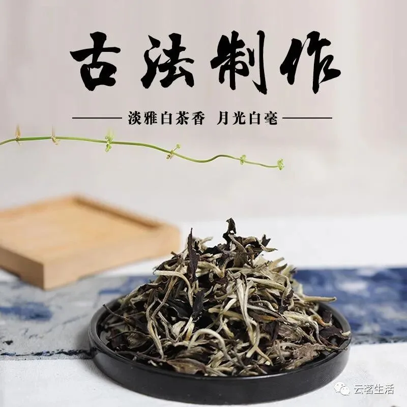 The Story of the Moonlight Beauty… 2 微信图片 2025 11 24 112805 504 YM&T