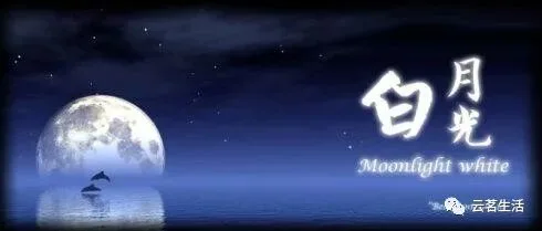 微信图片 2025 11 24 112813 341 YM&T