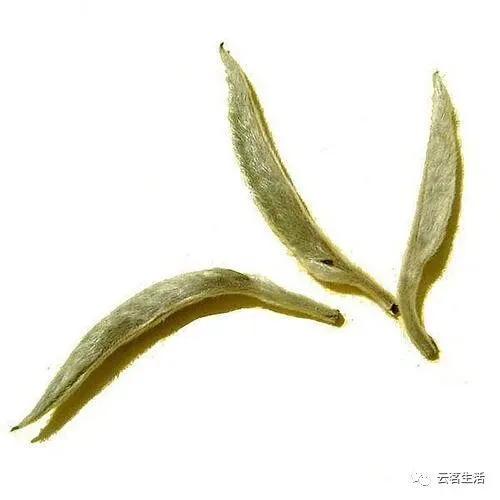 The Story of the Moonlight Beauty… 6 微信图片 2025 11 24 112839 023 YM&T