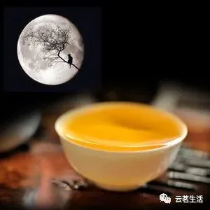 The Story of the Moonlight Beauty… 3 微信图片 2025 11 24 112850 990 YM&T