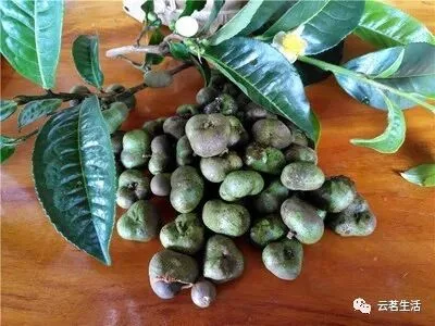 微信图片 2025 11 24 114523 722 YM&T