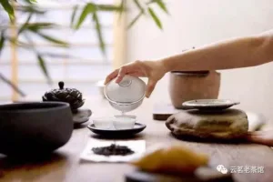 Why are Europeans increasingly choosing to use tea to maintain their health?