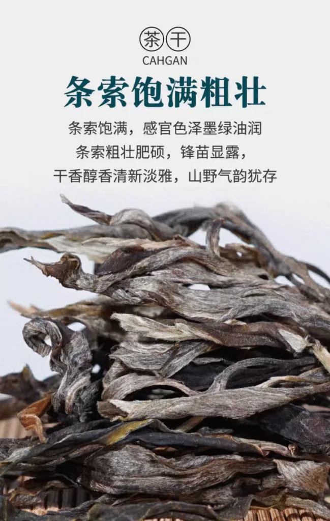 微信图片 20251130133553 143 2 YM&T