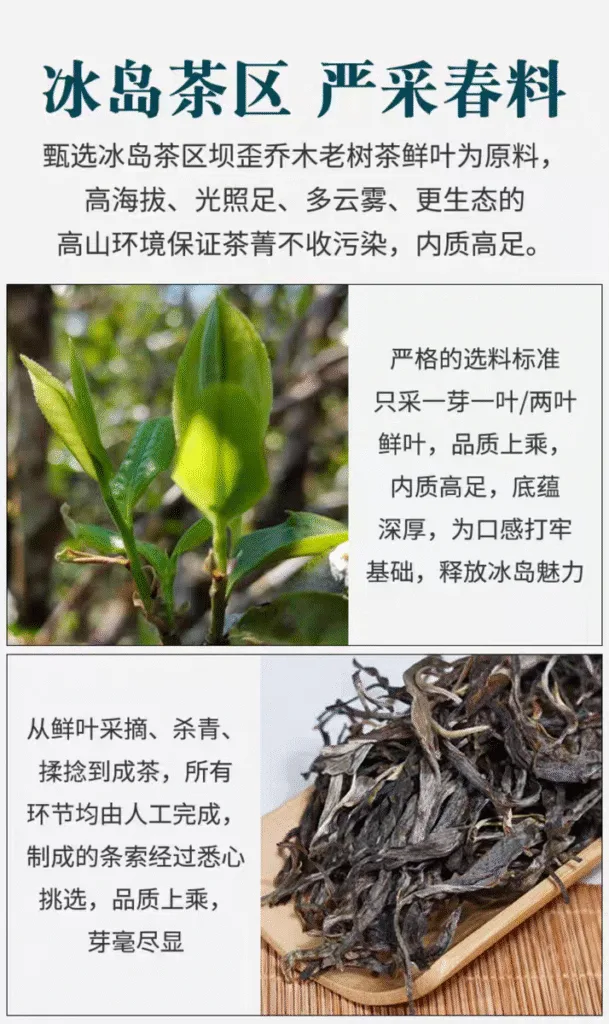 微信图片 20251130133554 144 2 YM&T