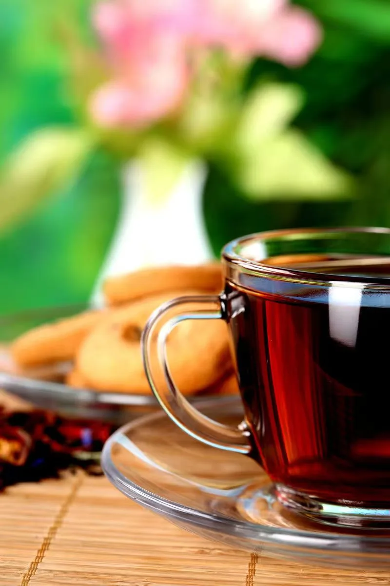 Tea Culture: The New Art Of Living In Europe - YM&TEA