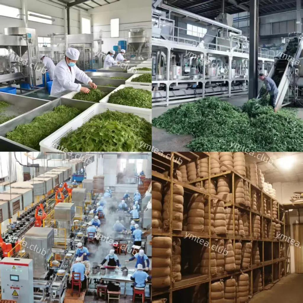 Black tea manufacturer factory