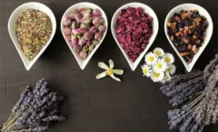 Can Pu’er tea or black tea and herbal/herbal blends really promote health and wellness?