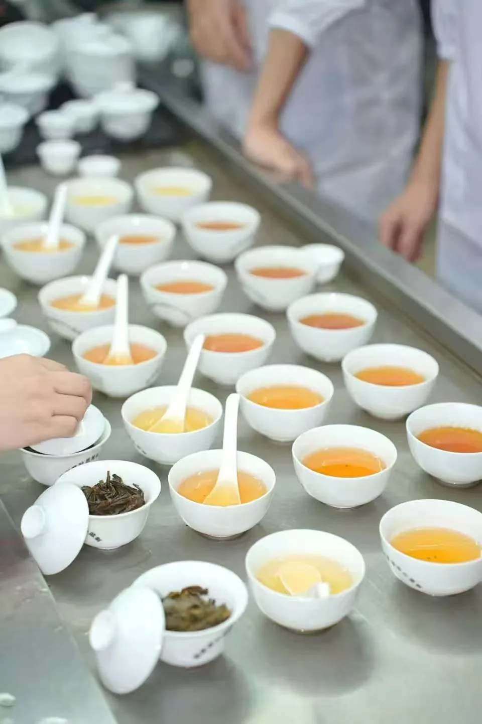 Choose tea according to your symptoms — what type of tea suits your stress type? post thumbnail image