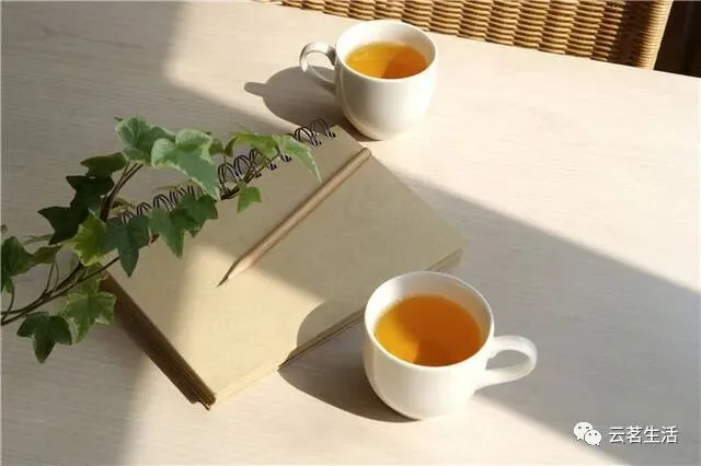 Why do people say that drinking tea can relieve stress? post thumbnail image