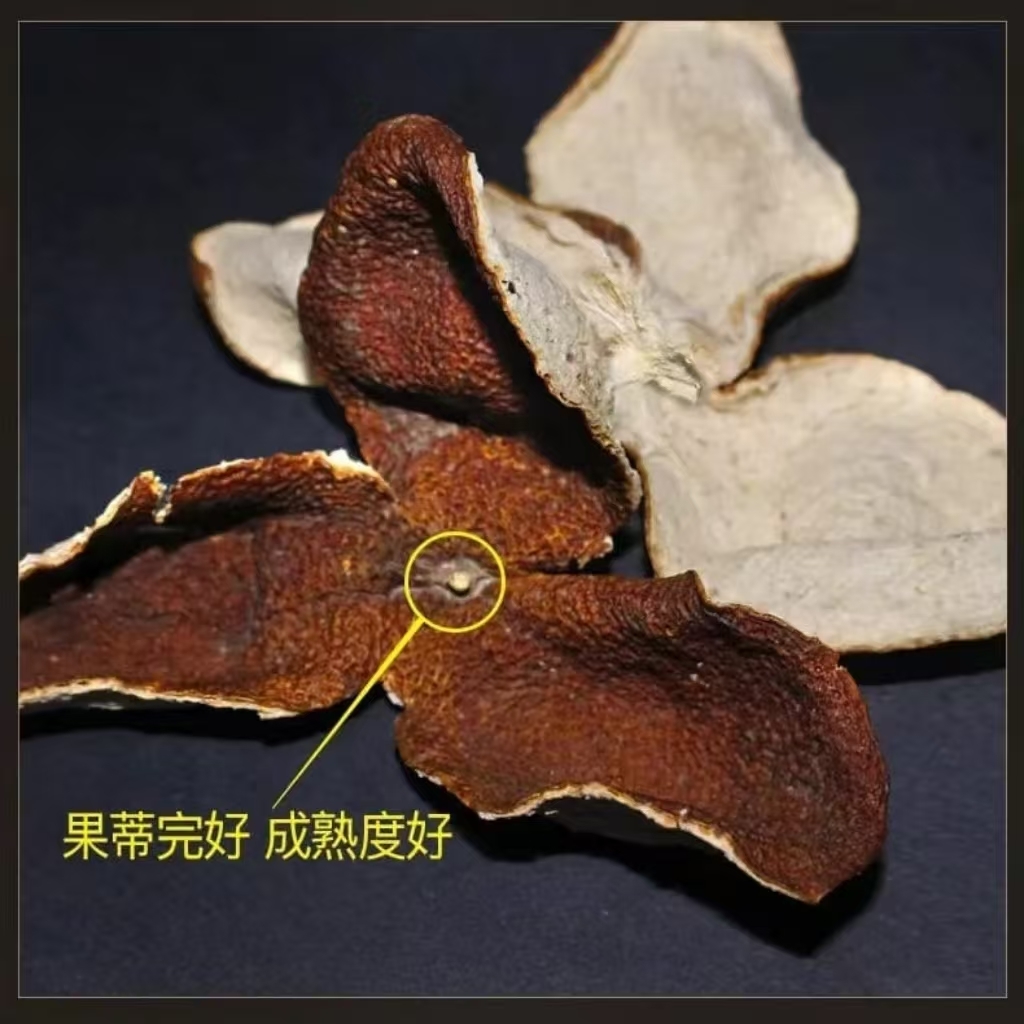 Aged Tangerine Peel Tea / Chenpi Tea (100g) | Bulk Wholesale 12 YMTEA Chenpi product presentation
