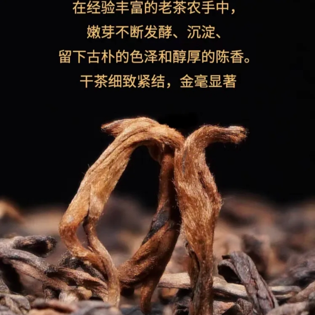 Premium Ancient Tree Ripe Pu'er Loose Tea | Ymtea Artisan Series (1kg) 4 Wholesale bulk loose leaf Pu-erh tea direct from Yunnan source, premium ripe and sheng puerh for business buyers.